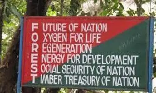 വനംവകുപ്പിൽ ഉത്തരവുകൾ ഇനി ഒരു ഉദ്യോഗസ്ഥ​െൻറ മേൽനോട്ടത്തിൽ