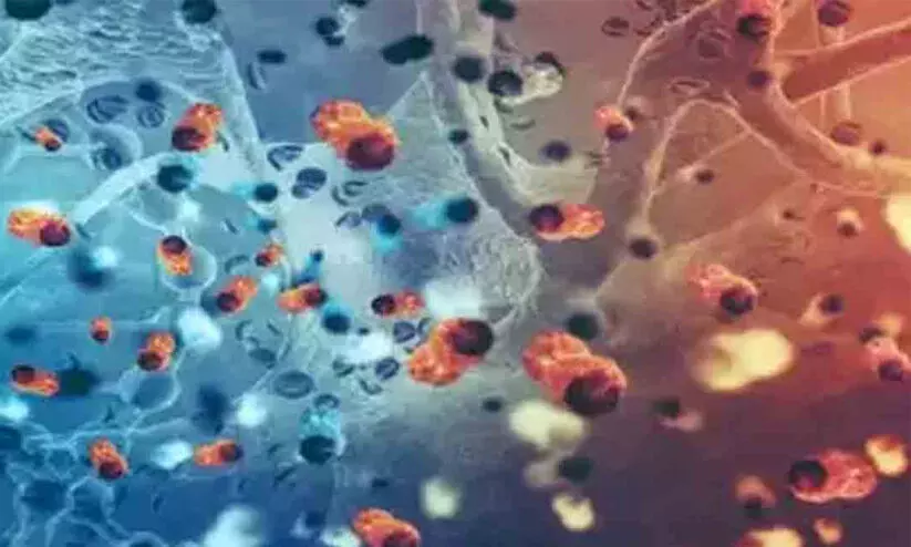 നോറോ വൈറസ്:  ഉച്ചക്കട എൽ.എം.എസ് എൽ.പി സ്കൂളിൽ അതിജാഗ്രത