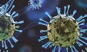 ഒമൈക്രോൺ: പു​തി​യ സാ​ഹ​ച​ര്യം നി​രീ​ക്ഷി​ച്ച്​  കു​വൈ​ത്ത്