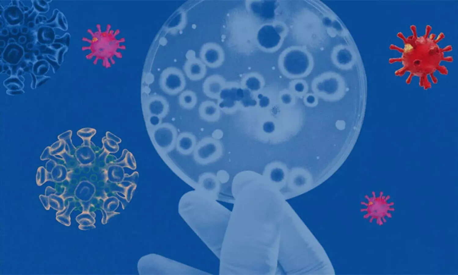 സൗദിയിൽ ഇതുവരെ ഒമിക്രോൺ റിപ്പോർട്ട്​ ചെയ്​തിട്ടില്ലെന്ന്​ ആരോഗ്യ മന്ത്രാലയം