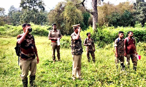 മുതുമല കടുവാസങ്കേതത്തിൽ വന്യമൃഗ കണക്കെടുപ്പ് തുടങ്ങി