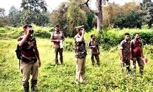 മുതുമല കടുവാസങ്കേതത്തിൽ വന്യമൃഗ കണക്കെടുപ്പ് തുടങ്ങി