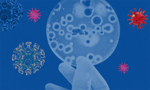 ഒ​മി​ക്രോ​ൺ ഭീ​തി​യി​ൽ ടൂ​റി​സം മേ​ഖ​ല