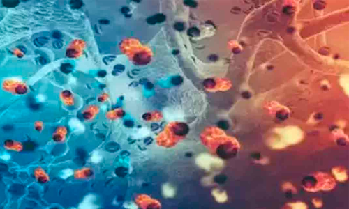 നോറോ വൈറസ്:  ഉച്ചക്കട എൽ.എം.എസ് എൽ.പി സ്കൂളിൽ അതിജാഗ്രത