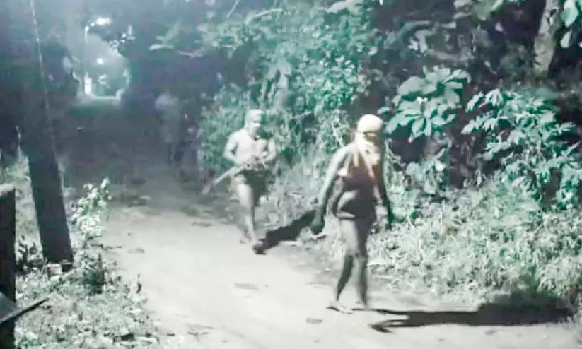 അതിരമ്പുഴയെ ഭീതിയിലാക്കി കുറുവ സംഘം?