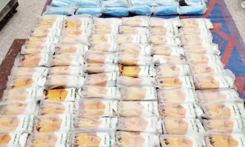 500 കിലോ മയക്കുമരുന്നുമായി രണ്ട്​ വിദേശികൾ പിടിയിൽ