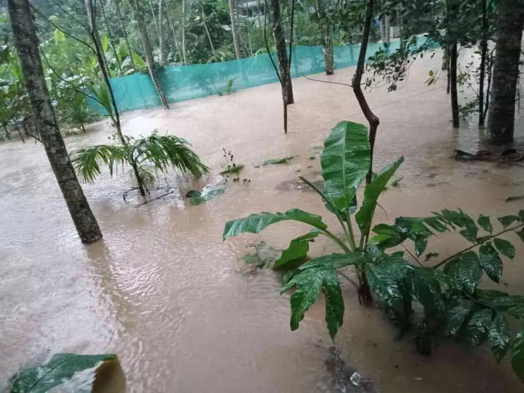 മഴ ശക്തം; കൃഷി ഭൂമിലും വീടുകളിലും വെള്ളംകയറി
