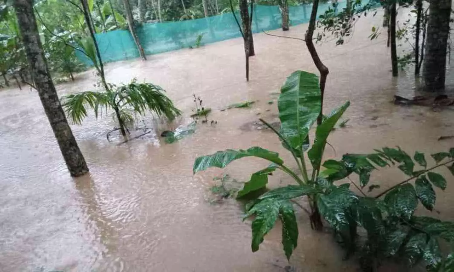 മഴ ശക്തം; കൃഷി ഭൂമിലും വീടുകളിലും വെള്ളംകയറി