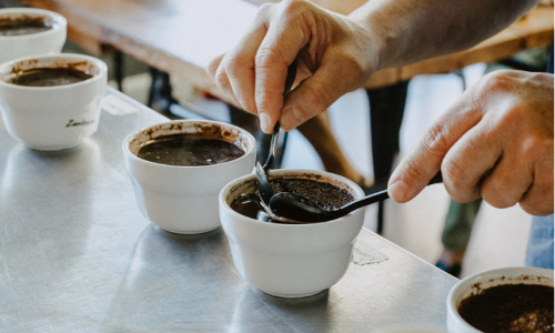 coffee quality management