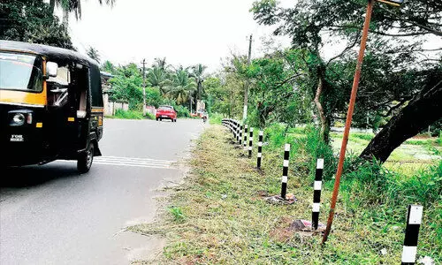 റോഡരികിലെ പാഴ്ച്ചെടികൾ നീക്കിത്തുടങ്ങി