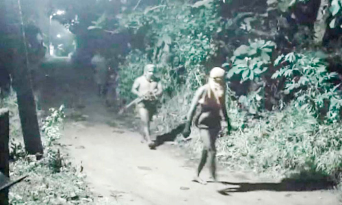 അതിരമ്പുഴയെ ഭീതിയിലാക്കി കുറുവ സംഘം?