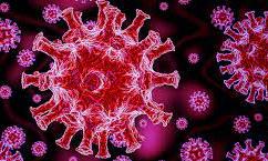 രാജ്യത്ത് 8,309 പേർക്ക് കൂടി കോവിഡ് രാജ്യത്ത് 8,309 പേർക്ക് കൂടി കോവിഡ്