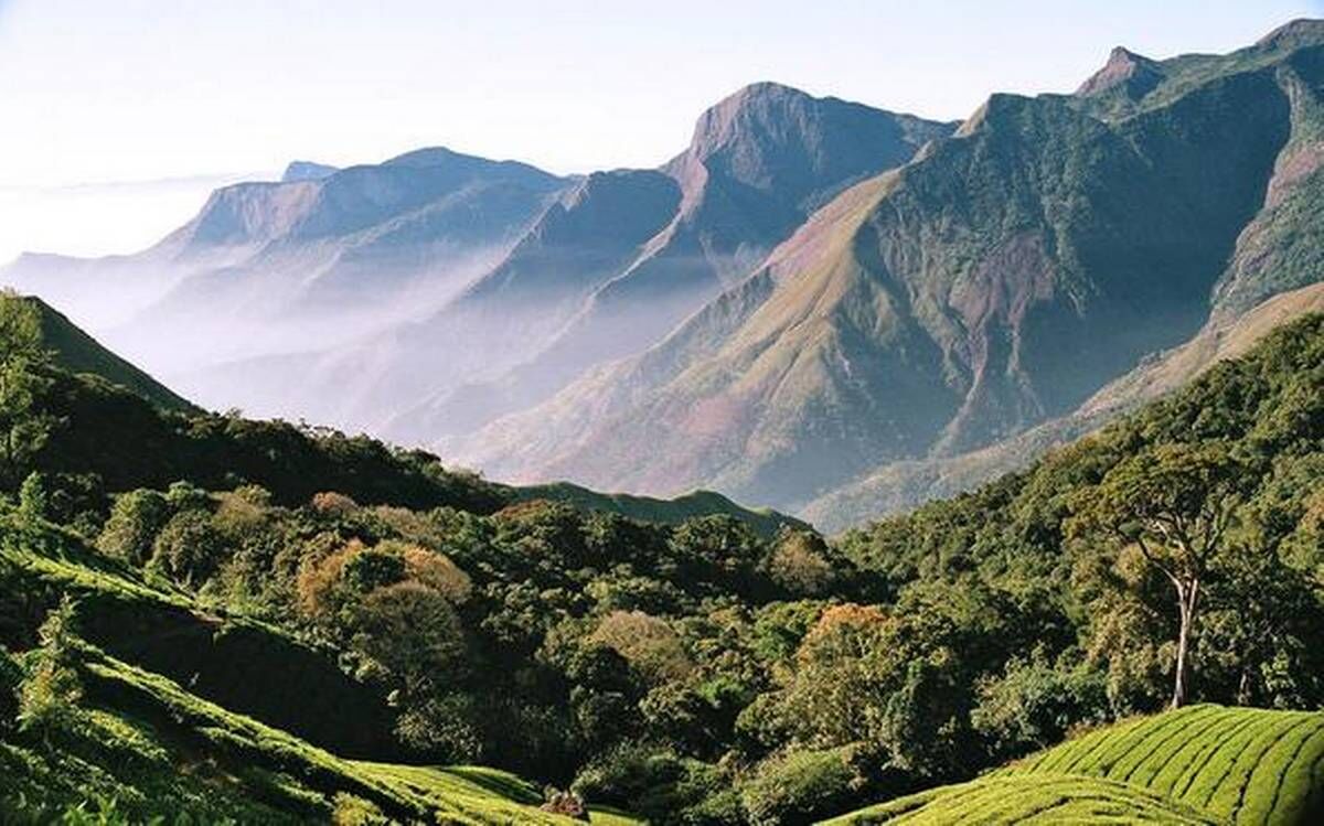 കേളകം, കൊട്ടിയൂർ, പേരാവൂർ, ഇരിട്ടി മേഖല അതിർത്തി പങ്കിടുന്നത് മൂന്ന് സംരക്ഷിതവനങ്ങളുമായി; പരിസ്ഥിതിലോല വിധിയിൽ മലയോരകർഷകർ ആശങ്കയിൽ