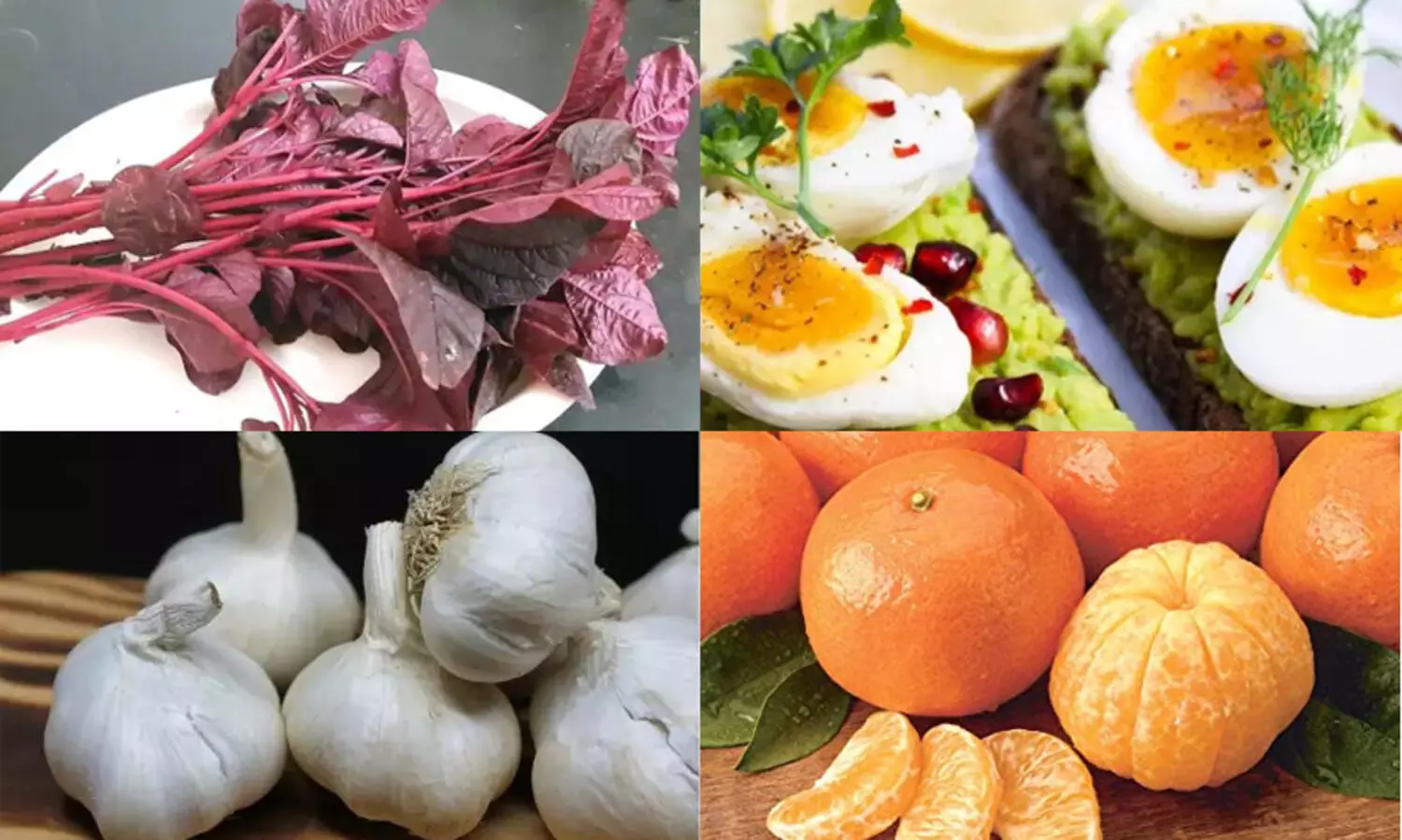 രോഗപ്രതിരോധശേഷി വർധിപ്പിക്കാൻ 10 ഭക്ഷണങ്ങൾ