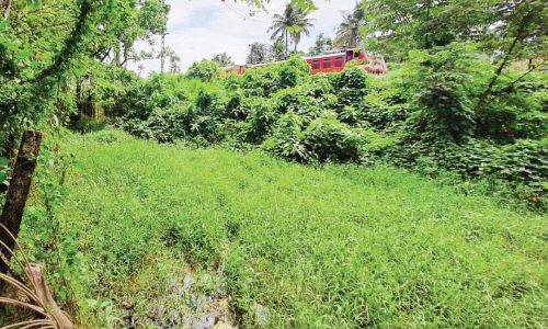 വെള്ളക്കെട്ട്: കൈയേറ്റം ഒഴിപ്പിച്ച് കൈത്തോട് സംരക്ഷിക്കണമെന്ന ആവശ്യം ശക്തം വെള്ളക്കെട്ട്: കൈയേറ്റം ഒഴിപ്പിച്ച് കൈത്തോട് സംരക്ഷിക്കണമെന്ന ആവശ്യം ശക്തം