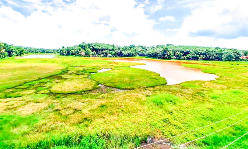 Polachira Aqua Adventure Tourism Project will begin construction in January