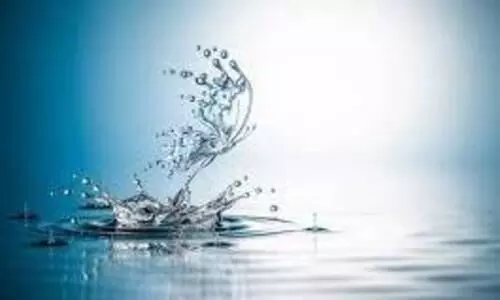 ജല സാന്നിധ്യമറിയാൻ പുതുവഴിതേടി കുട്ടി ശാസ്ത്രജ്ഞന്മാർ