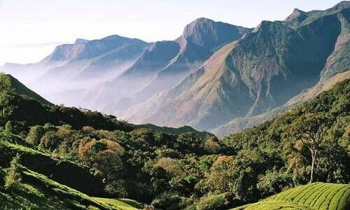 കേളകം, കൊട്ടിയൂർ, പേരാവൂർ, ഇരിട്ടി മേഖല അതിർത്തി പങ്കിടുന്നത് മൂന്ന് സംരക്ഷിതവനങ്ങളുമായി; പരിസ്ഥിതിലോല വിധിയിൽ മലയോരകർഷകർ ആശങ്കയിൽ