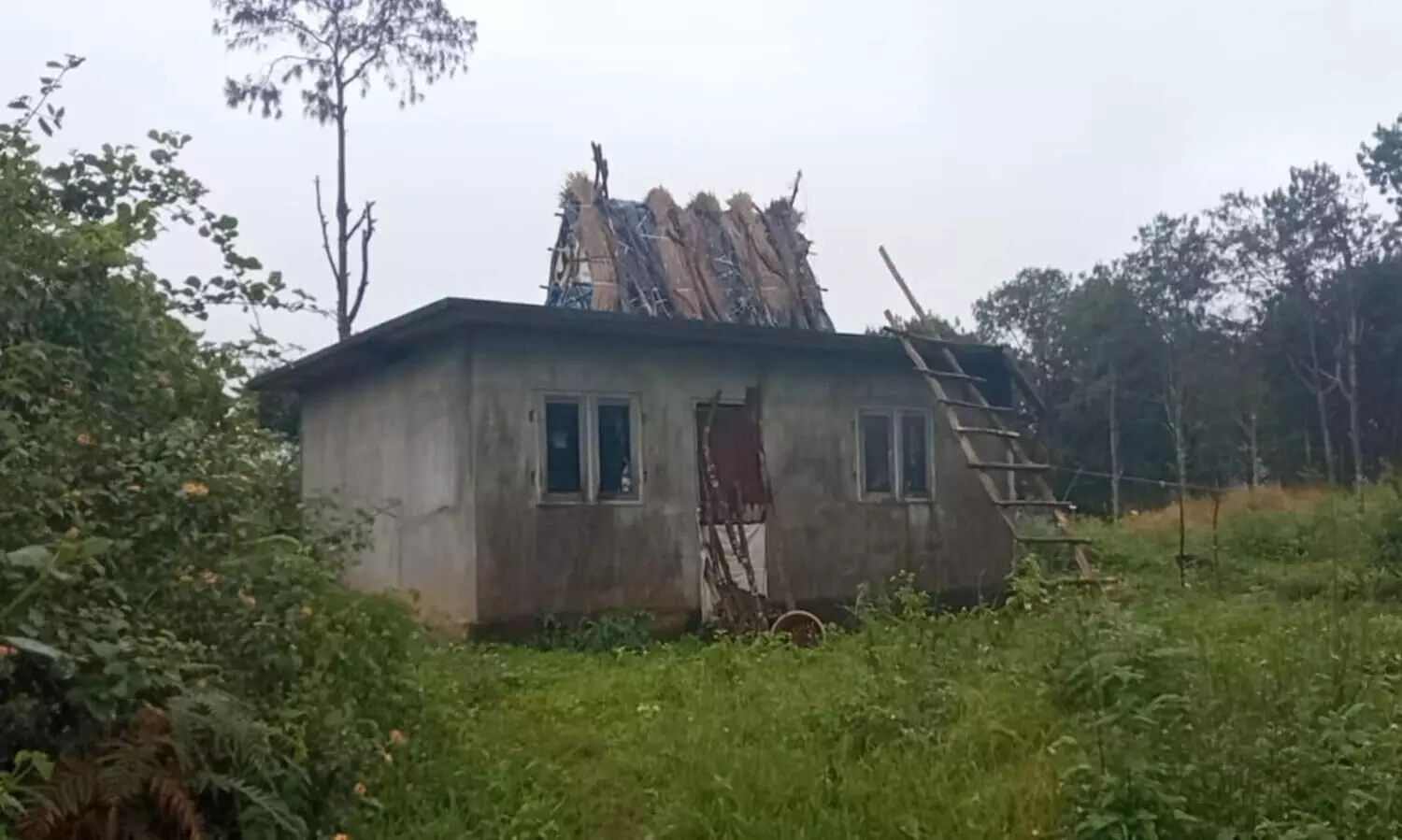 wild elephant attack in Chinnakanal