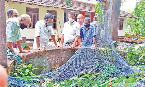 well sound narikkuni