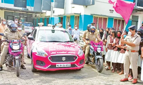 pink police patrol pink police patrol