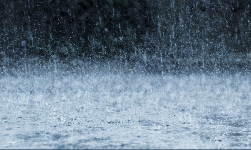 ന്യൂ​ന​മ​ർ​ദം: വി​വി​ധ ഗ​വ​ർ​ണ​റേ​റ്റു​ക​ളി​ൽ മ​ഴ