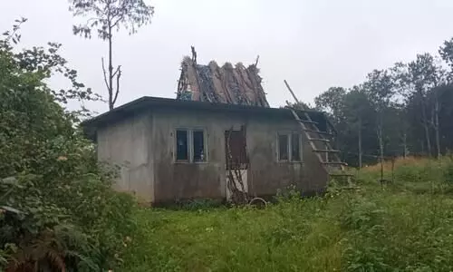 wild elephant attack in Chinnakanal