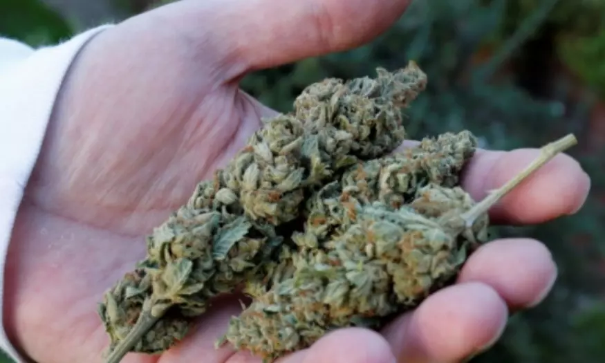 25 കിലോ കഞ്ചാവ് പിടികൂടി 25 കിലോ കഞ്ചാവ് പിടികൂടി