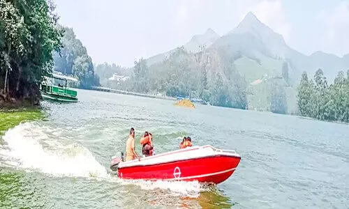 December New season in Munnar