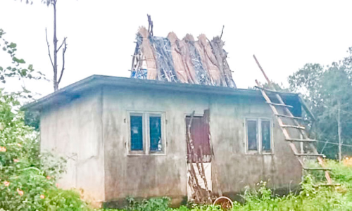 The crores spent do not count Still threatening to wild elephant