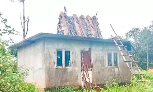 The crores spent do not count Still threatening to wild elephant