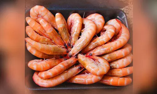 ചെ​മ്മീ​ൻ പി​ടി​ക്കു​ന്ന​തി​ന്​ നി​രോ​ധ​നം