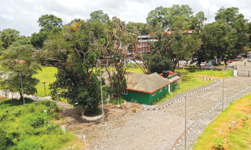 kalabhavan mani park