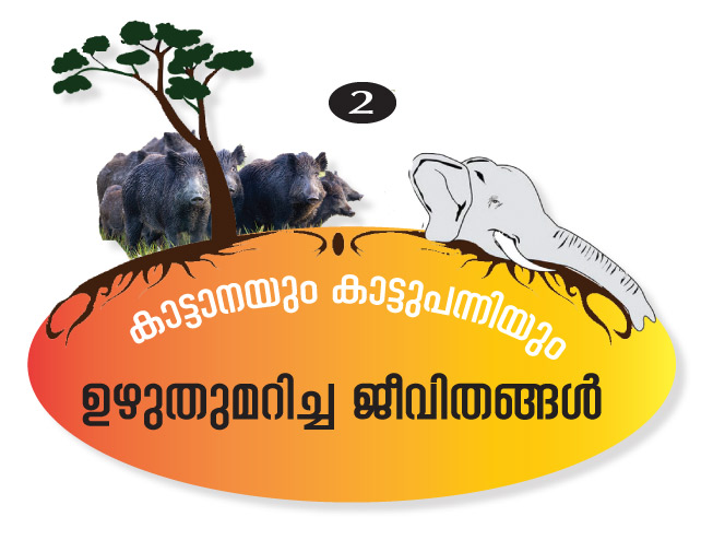 വന്യമൃഗശല്യം: പൊറുതിമുട്ടി കിഴക്കൻ മലയോരം വന്യമൃഗശല്യം: പൊറുതിമുട്ടി കിഴക്കൻ മലയോരം