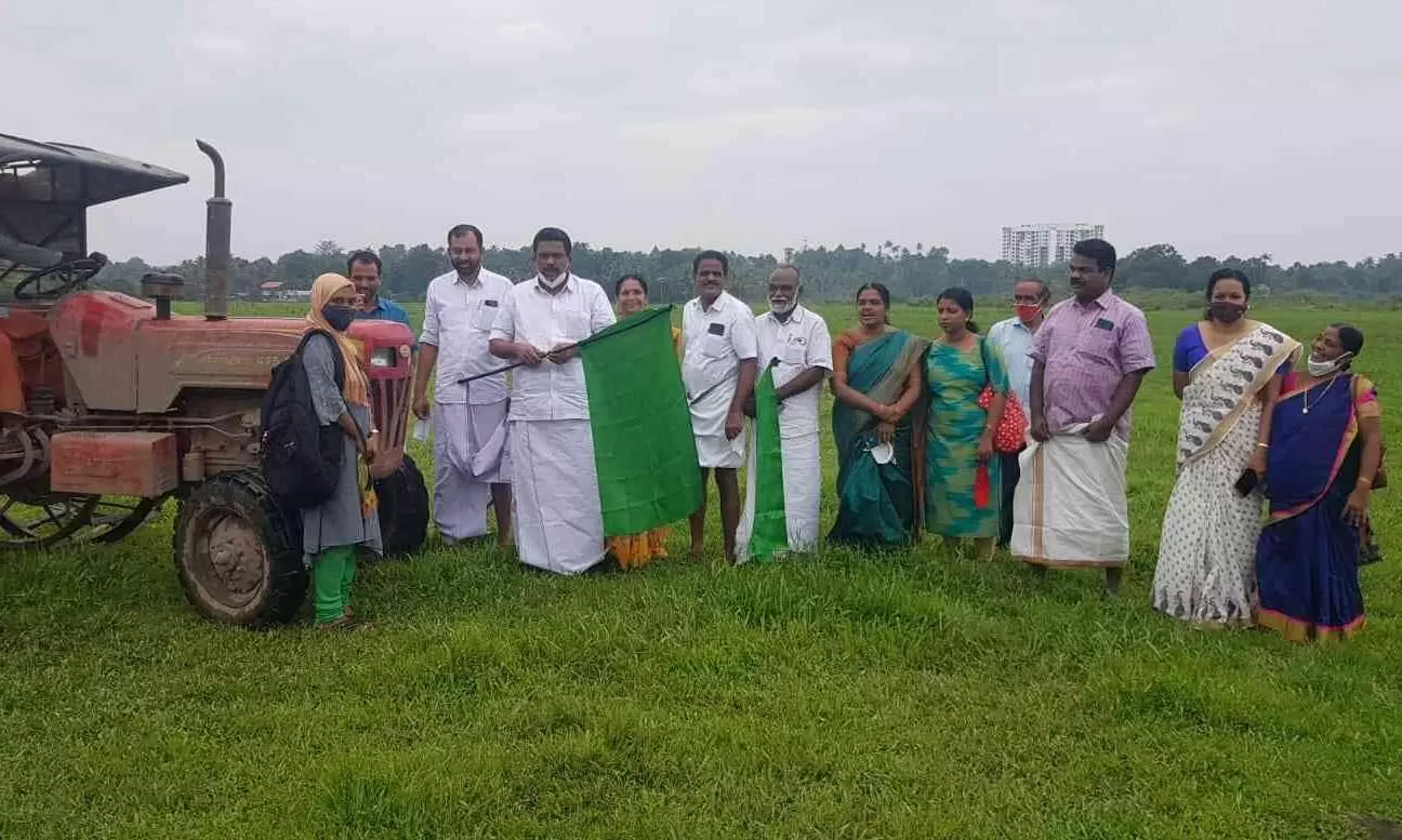 കടുങ്ങുചാലിലെ തരിശു നെല്‍പാടങ്ങളില്‍ കൃഷിയൊരുക്കം 