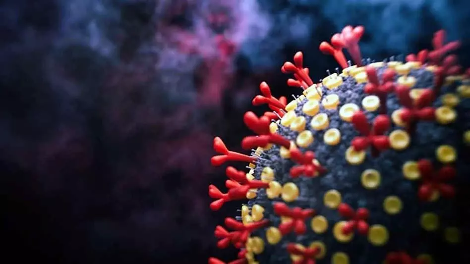 ഒമിക്രോൺ: അതിർത്തി വഴിയുള്ള യാത്രക്കാർ കുറഞ്ഞു ഒമിക്രോൺ: അതിർത്തി വഴിയുള്ള യാത്രക്കാർ കുറഞ്ഞു