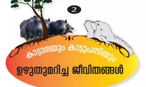 വന്യമൃഗശല്യം: പൊറുതിമുട്ടി കിഴക്കൻ മലയോരം