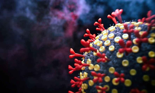 ഒമിക്രോൺ: അതിർത്തി വഴിയുള്ള യാത്രക്കാർ കുറഞ്ഞു