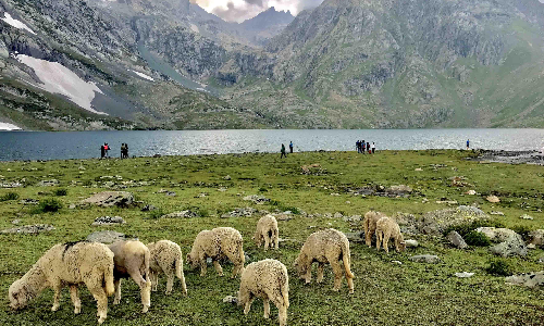 മഞ്ഞണിഞ്ഞ മാമലകൾ, പർവതങ്ങൾ ഒളിപ്പിച്ച മഹാതടാകങ്ങൾ... കശ്​മീർ ഗ്രേറ്റ്​ ലേക്​സ്​ ട്രക്കിങ്​ ദിനങ്ങൾ വായിക്കാം