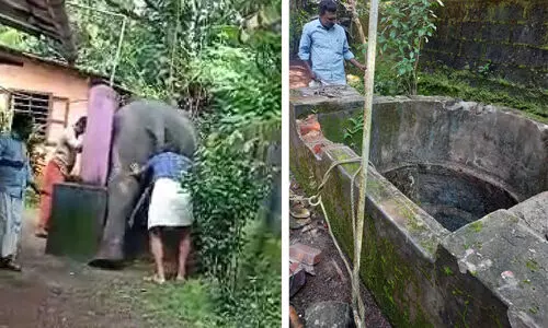 ഹോൺ കേട്ട്​ പിണങ്ങിയ ആന കിണറ്റിൽ ചാടാനൊരുങ്ങി, പാപ്പാൻമാരെത്തി അനുനയിപ്പിച്ചു; സംഭവമിങ്ങിനെ