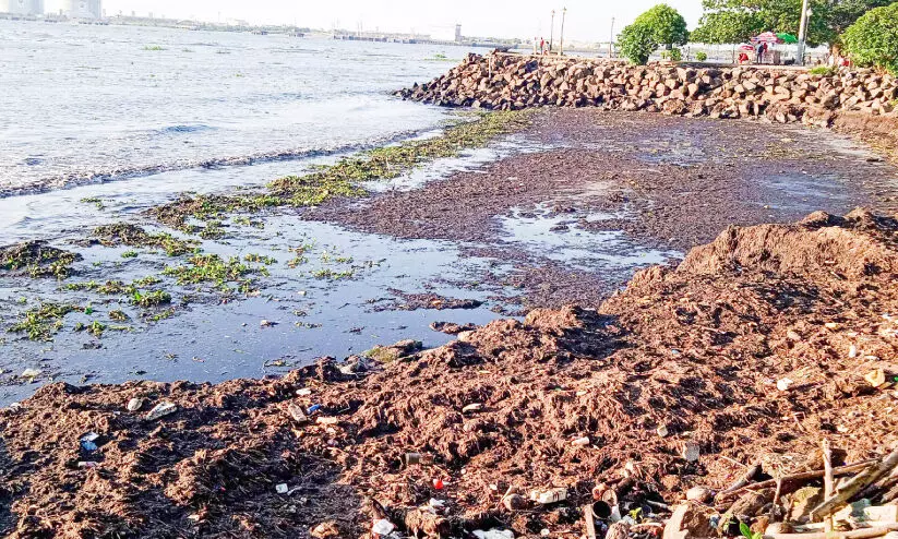 ഫോ​ർ​ട്ട്​​കൊ​ച്ചി ക​ട​പ്പു​റം പ​രി​താ​പ​ക​ര​മായ സ്ഥി​തി​യി​ൽ