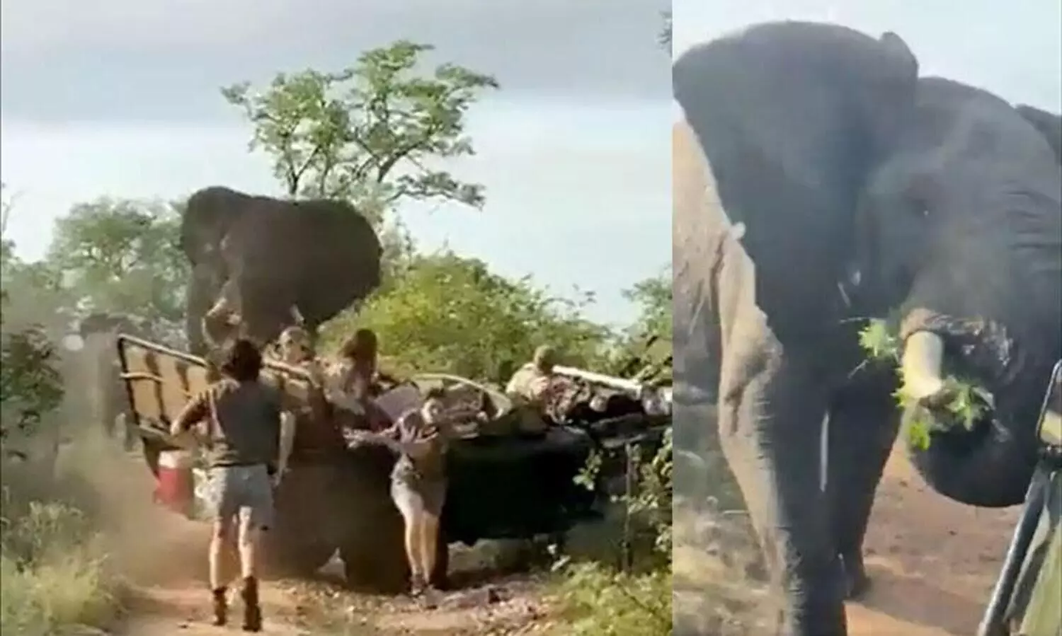 കലിയോടെ പാഞ്ഞടുത്ത്​ ആന; വണ്ടിയിൽ നിന്നിറങ്ങിയോടി യാത്രക്കാർ- വീഡിയോ വൈറൽ