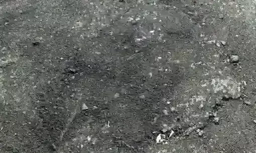 ബി.ജെ.പി എം.എൽ.എ തേങ്ങയുടച്ചു; പൊട്ടിയത്​ പുതിയ റോഡ്​, ഒടുവിൽ രോഷപ്രകടനവും