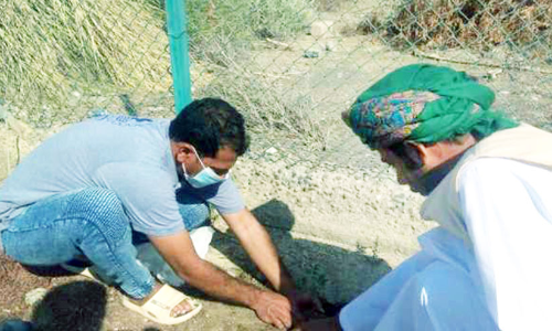 പ​രി​സ്​​ഥി​തി അ​തോ​റി​റ്റി വൃ​ക്ഷ​ത്തൈ ന​ട്ടു