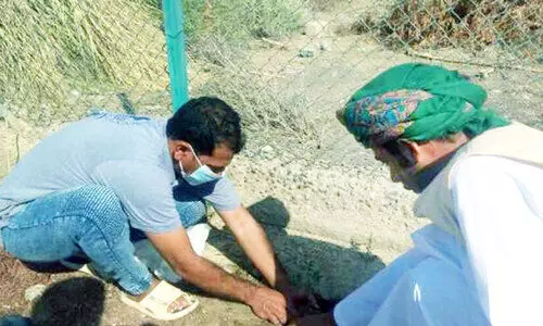 പ​രി​സ്​​ഥി​തി അ​തോ​റി​റ്റി വൃ​ക്ഷ​ത്തൈ ന​ട്ടു