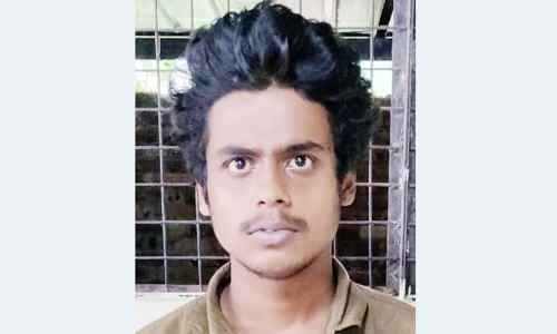 ആഡംബര പ്രാവുകളെ മോഷ്​ടിച്ചയാൾ​ പിടിയിൽ