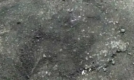 ബി.ജെ.പി എം.എൽ.എ തേങ്ങയുടച്ചു; പൊട്ടിയത്​ പുതിയ റോഡ്​, ഒടുവിൽ രോഷപ്രകടനവും