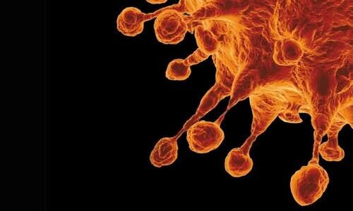 ഒ​മി​ക്രോ​ൺ: ജാ​ഗ്ര​ത പാ​ലി​ക്ക​ണ​മെ​ന്ന് ആ​രോ​ഗ്യ വി​ദ​ഗ്ധ​ർ