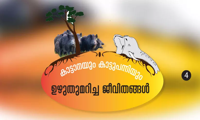 കൃഷിക്കൊപ്പം ജീവനും ഭീഷണിയായി കാട്ടുമൃഗങ്ങൾ കൃഷിക്കൊപ്പം ജീവനും ഭീഷണിയായി കാട്ടുമൃഗങ്ങൾ