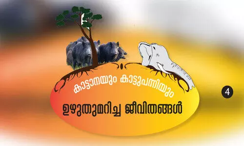 കൃഷിക്കൊപ്പം ജീവനും ഭീഷണിയായി കാട്ട​ുമൃഗങ്ങൾ